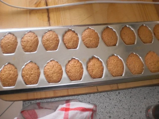 Madeleins - Rezept - Bild Nr. 5