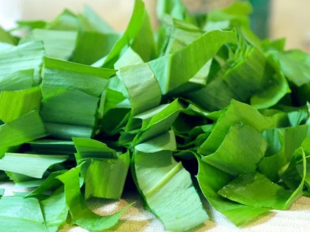 Rezept: Bärlauchpesto Bild Nr. 2 Bärlauchpesto - Rezept - Bild Nr. 2