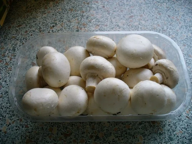 Rezept: Spargelcremesuppe mit Champignons Bild Nr. 5 Spargelcremesuppe mit Champignons - Rezept - Bild Nr. 5