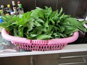 Mein Bärlauch-auch Öl und Essig - Rezept