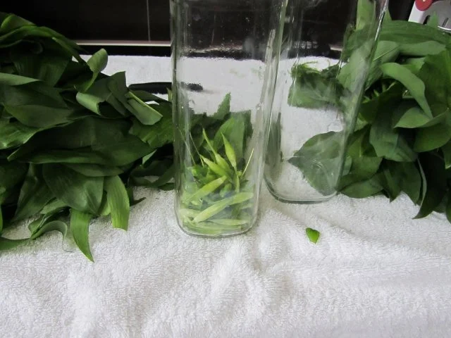 Mein Bärlauch-auch Öl und Essig - Rezept - Bild Nr. 12