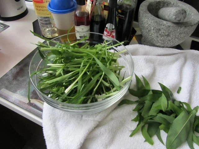 Mein Bärlauch-auch Öl und Essig - Rezept - Bild Nr. 5