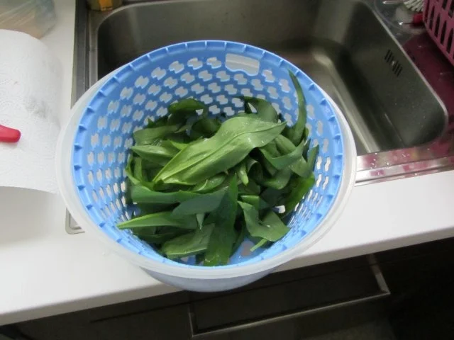 Mein Bärlauch-auch Öl und Essig - Rezept - Bild Nr. 7