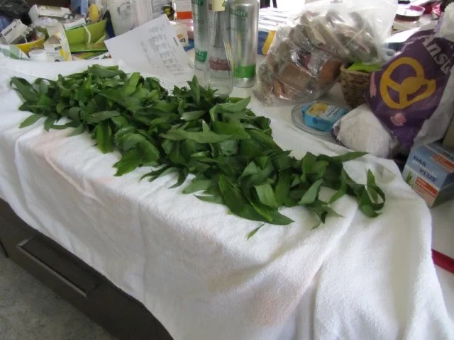 Mein Bärlauch-auch Öl und Essig - Rezept - Bild Nr. 8