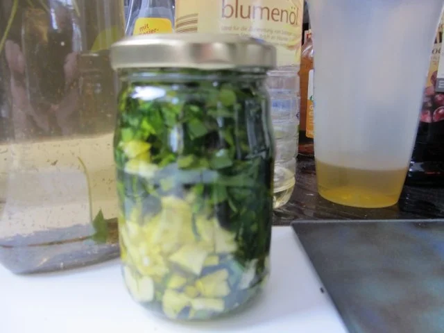Mein Bärlauch-auch Öl und Essig - Rezept - Bild Nr. 19