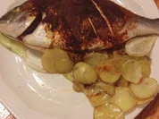 Dorade aus dem Ofen - Rezept