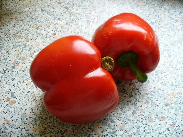 Paprika im Frühling - Rezept - Bild Nr. 2