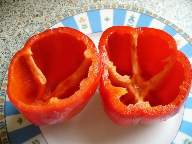 Paprika im Frühling - Rezept - Bild Nr. 5