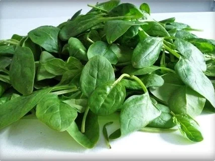 Rezept: -`❊´- Spinatsuppe mit Bärlauch und Ei -`❊´- Bild Nr. 5 -`❊´- Spinatsuppe mit Bärlauch und Ei -`❊´- - Rezept - Bild Nr. 5