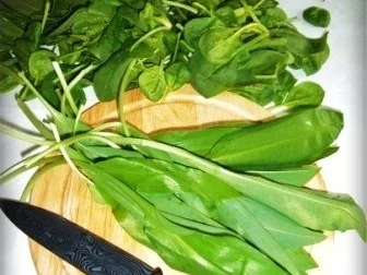 Rezept: -`❊´- Spinatsuppe mit Bärlauch und Ei -`❊´- Bild Nr. 7 -`❊´- Spinatsuppe mit Bärlauch und Ei -`❊´- - Rezept - Bild Nr. 7