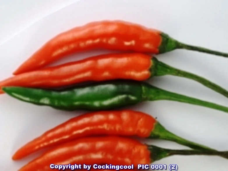 Biggi`s Jacobsmuscheln Cooler Einstieg (April 2012) à la Biggi - Rezept - Bild Nr. 5957