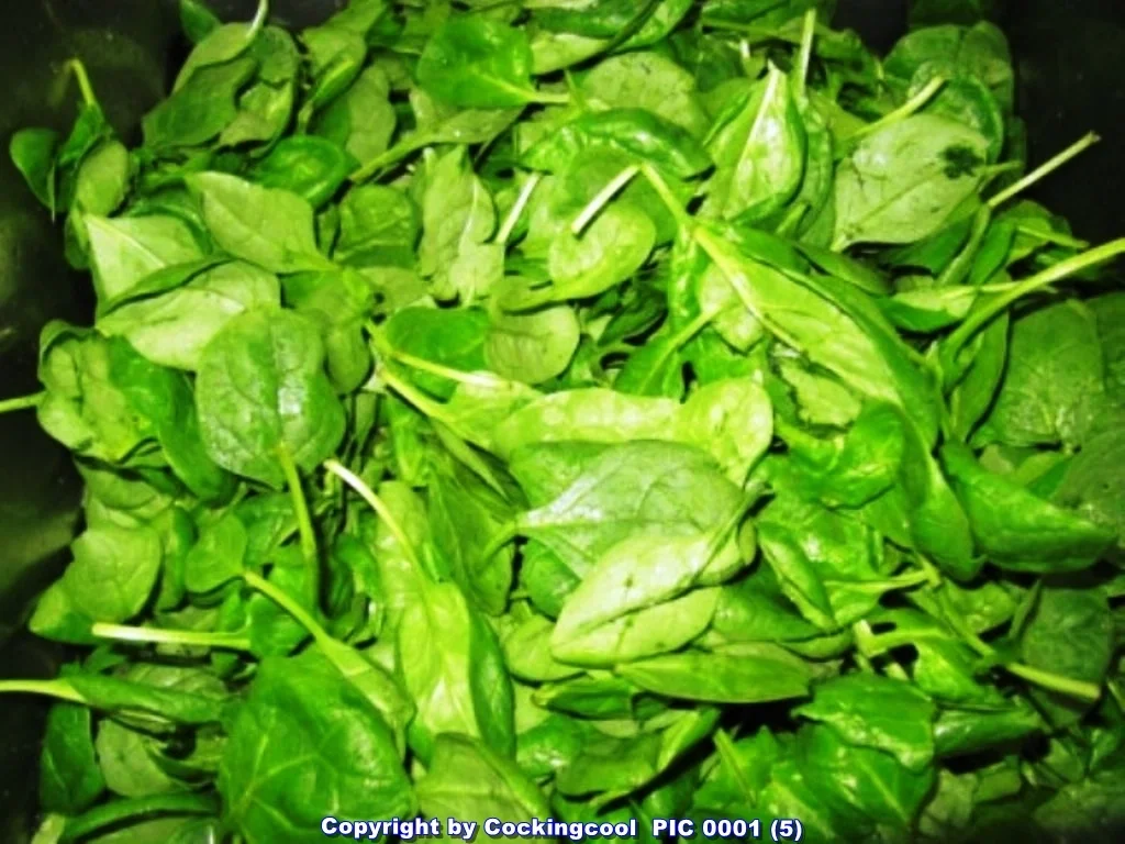 Biggi`s Jacobsmuscheln Cooler Einstieg (April 2012) à la Biggi - Rezept - Bild Nr. 5962