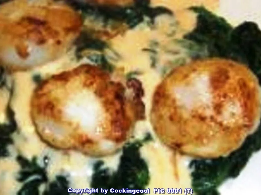 Biggi`s Jacobsmuscheln Cooler Einstieg (April 2012) à la Biggi - Rezept - Bild Nr. 5963