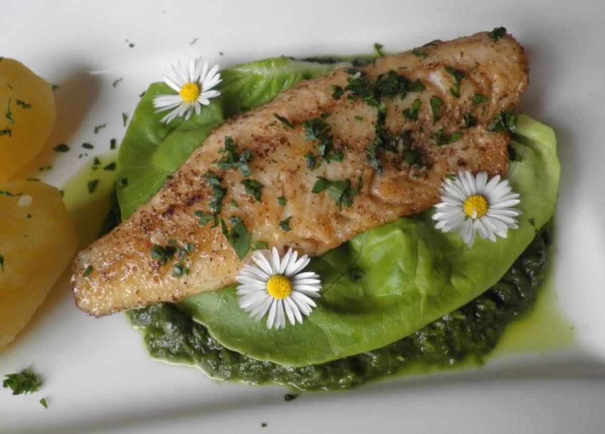 Zander auf Salat - Püree - Rezept