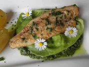 Zander auf Salat - Püree - Rezept