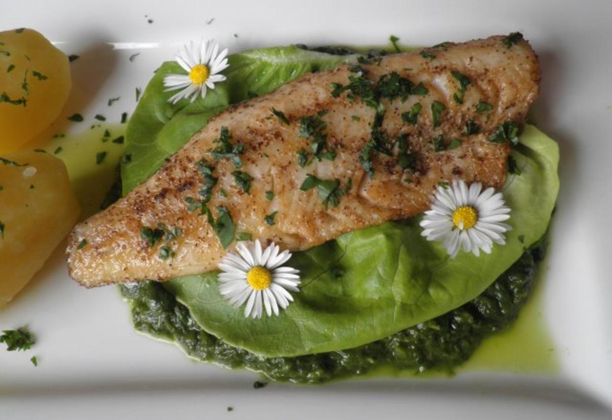 Zander auf Salat - Püree - Rezept - Bild Nr. 8