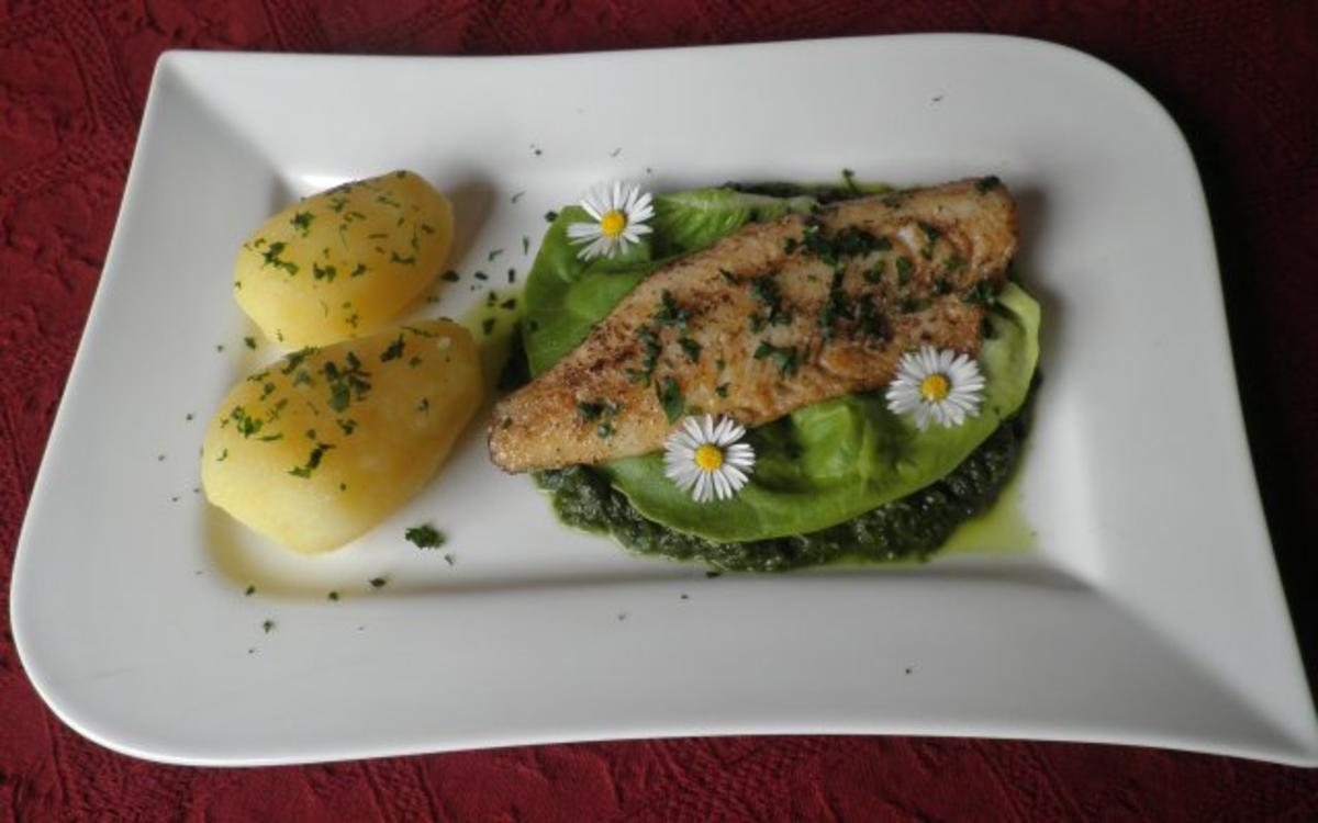 Zander auf Salat - Püree - Rezept - Bild Nr. 3