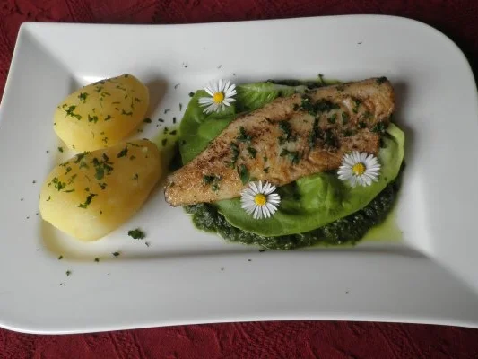 Rezept: Zander auf Salat - Püree Bild Nr. 3 Zander auf Salat - Püree - Rezept - Bild Nr. 3