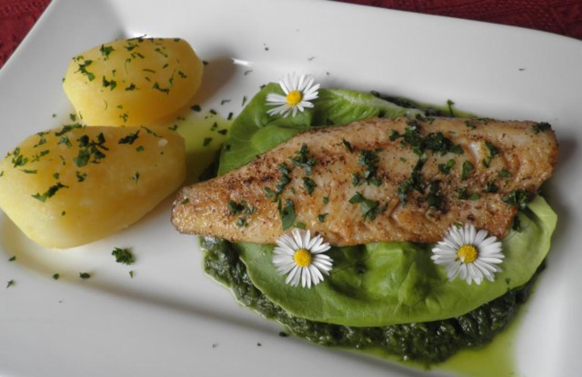Zander auf Salat - Püree - Rezept - Bild Nr. 2