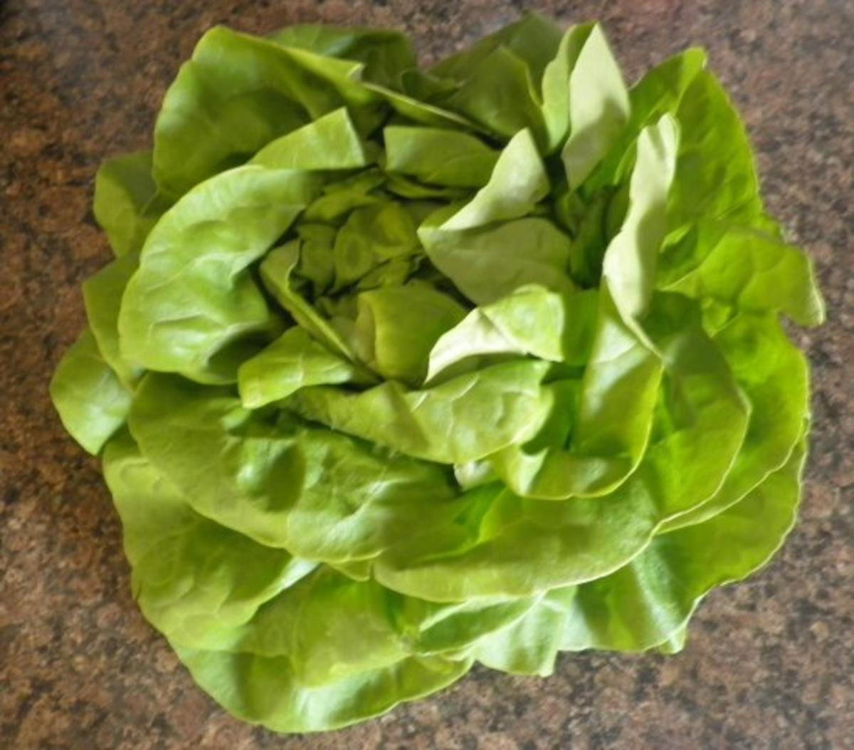 Zander auf Salat - Püree - Rezept - Bild Nr. 4