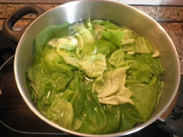 Rezept: Zander auf Salat - Püree Bild Nr. 5 Zander auf Salat - Püree - Rezept - Bild Nr. 5