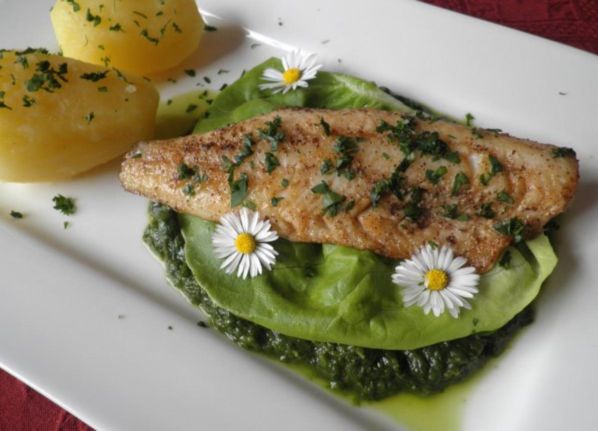 Zander auf Salat - Püree - Rezept - Bild Nr. 9