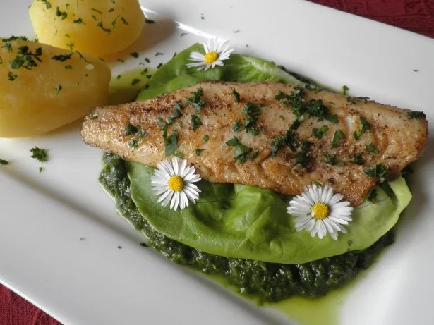 Rezept: Zander auf Salat - Püree Bild Nr. 9 Zander auf Salat - Püree - Rezept - Bild Nr. 9