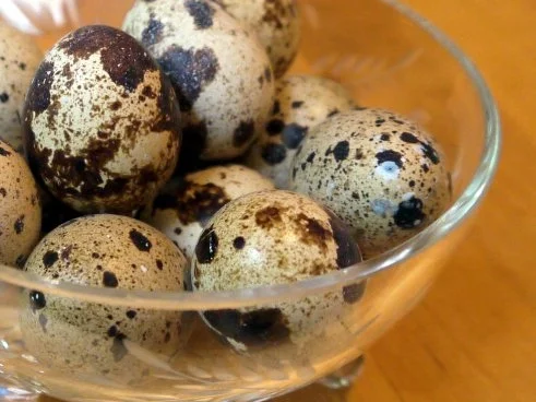 Rezept: Wachtel trifft Thunfisch Bild Nr. 2 Wachtel trifft Thunfisch - Rezept - Bild Nr. 2