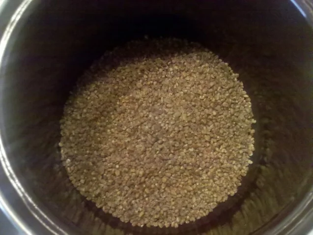 Rezept: Geflügel: Hähnchengeschnetzeltes mediteran mit Bulgur Bild Nr. 7 Geflügel: Hähnchengeschnetzeltes mediteran mit Bulgur - Rezept - Bild Nr. 7