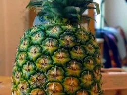 Rezept: Honig-glasierte Hähnchenkeulen auf frischer Ananas Bild Nr. 2 Honig-glasierte Hähnchenkeulen auf frischer Ananas - Rezept - Bild Nr. 2