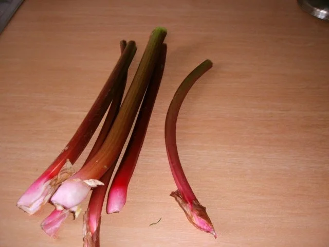 Rezept: Rhababerpudding Bild Nr. 3 Rhababerpudding - Rezept - Bild Nr. 3