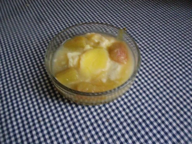 Rezept: Rhababerpudding Bild Nr. 10 Rhababerpudding - Rezept - Bild Nr. 10