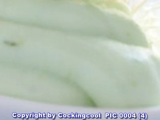 Garnele mit Wasabiespuma à la Biggi - Rezept - Bild Nr. 13