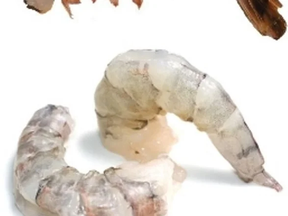 Garnele mit Wasabiespuma à la Biggi - Rezept - Bild Nr. 12