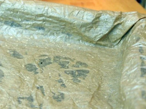 Rezept: Rhabarber-Ricotta-Kuchen mit Tonkabohne Bild Nr. 5 Rhabarber-Ricotta-Kuchen mit Tonkabohne - Rezept - Bild Nr. 5