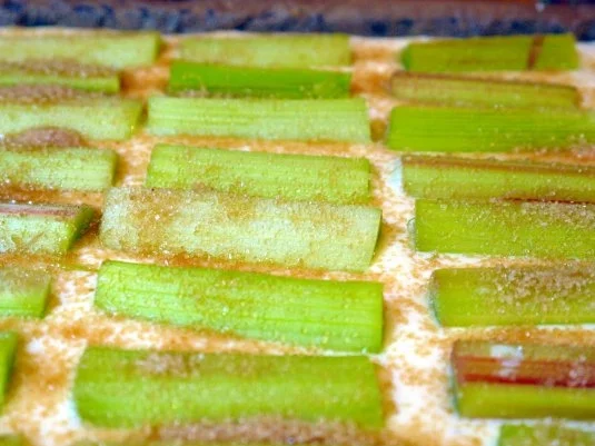 Rezept: Rhabarber-Ricotta-Kuchen mit Tonkabohne Bild Nr. 8 Rhabarber-Ricotta-Kuchen mit Tonkabohne - Rezept - Bild Nr. 8