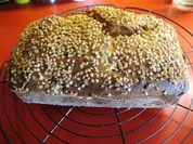 Aprikosen - Quark - Kuchen - Rezept