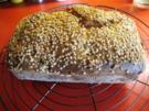 Aprikosen - Quark - Kuchen - Rezept