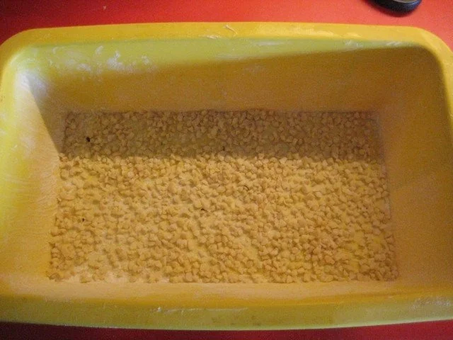 Rezept: Aprikosen - Quark - Kuchen Bild Nr. 10 Aprikosen - Quark - Kuchen - Rezept - Bild Nr. 10