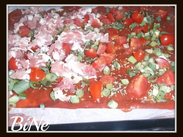 BiNe` S PIZZA - ROLLE - Rezept - Bild Nr. 6