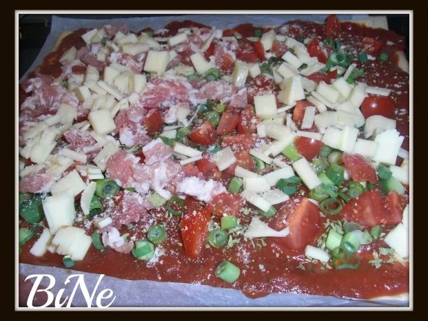 BiNe` S PIZZA - ROLLE - Rezept - Bild Nr. 7