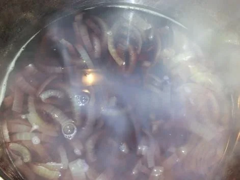 Zwiebelsuppe nach Französcher Art - Rezept - Bild Nr. 11