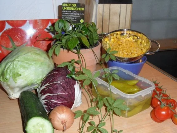 Rezept: Bunter Salat mit "Kraut der Unsterblichkeit" Bild Nr. 2 Bunter Salat mit "Kraut der Unsterblichkeit" - Rezept - Bild Nr. 2