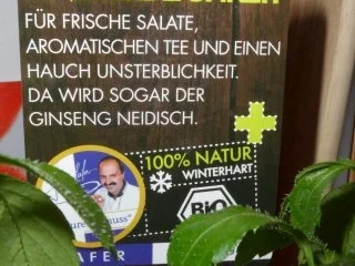 Rezept: Bunter Salat mit "Kraut der Unsterblichkeit" Bild Nr. 3 Bunter Salat mit "Kraut der Unsterblichkeit" - Rezept - Bild Nr. 3