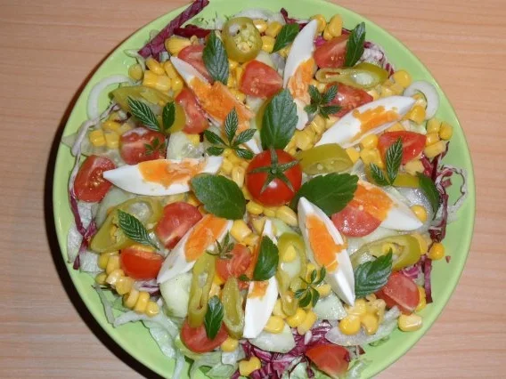 Rezept: Bunter Salat mit "Kraut der Unsterblichkeit" Bild Nr. 10 Bunter Salat mit "Kraut der Unsterblichkeit" - Rezept - Bild Nr. 10