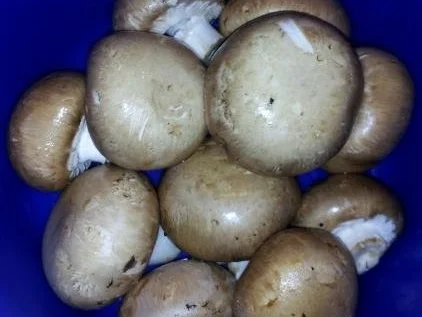 Rezept: Boeuf Stroganow mal etwas anders !!! Bild Nr. 5 Boeuf Stroganow mal etwas anders !!! - Rezept - Bild Nr. 5