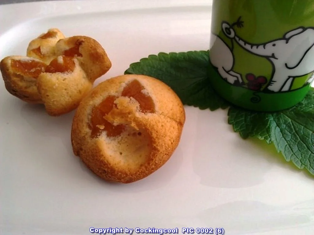 Biggi`s Aprikosen Minztörtchen (mit Pfiff) - Rezept - Bild Nr. 21