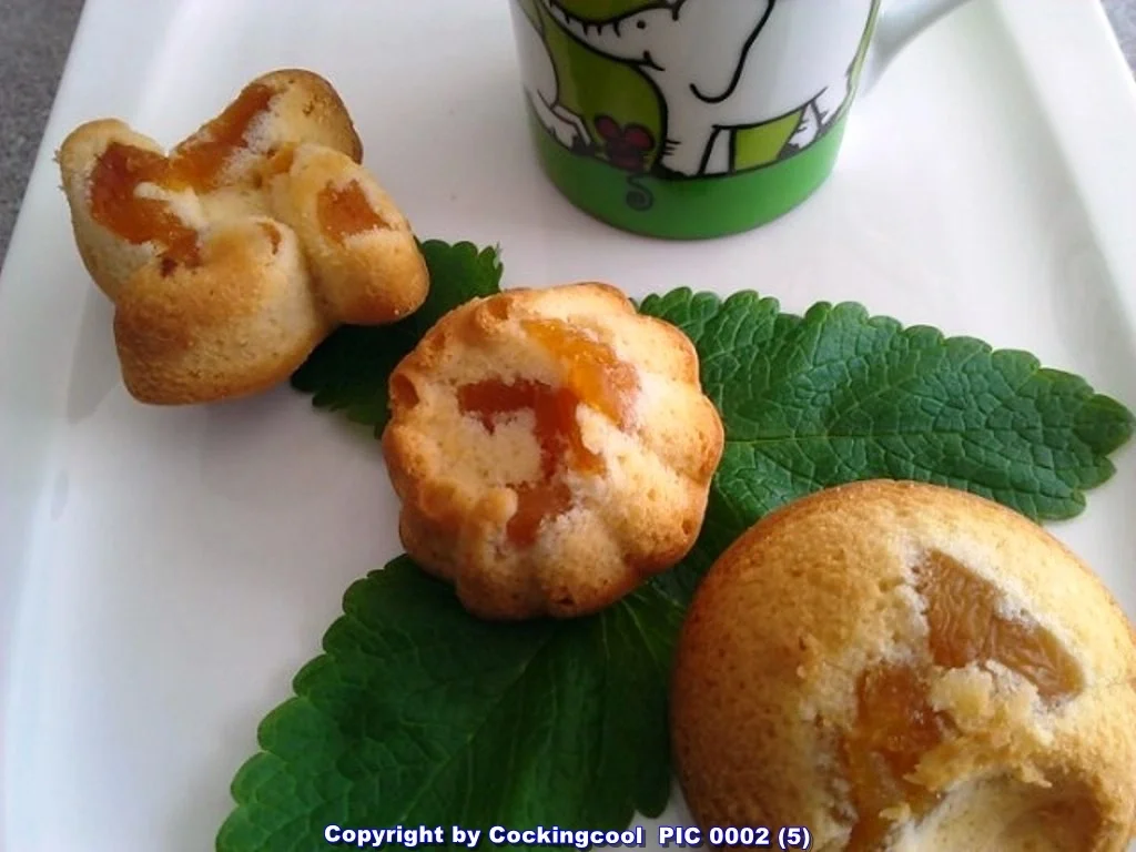 Biggi`s Aprikosen Minztörtchen (mit Pfiff) - Rezept - Bild Nr. 22