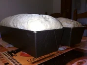 Kürbiskernbrot aus dem Kasten - Rezept