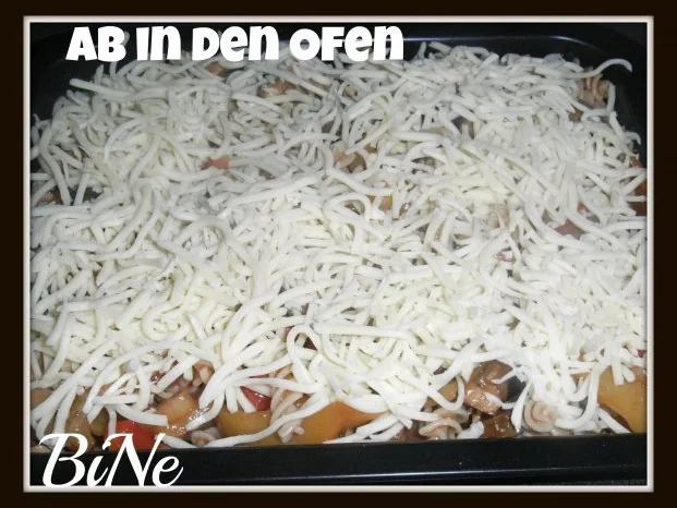 Rezept: BiNe` S ZIGEUNER - NUDELAUFLAUF Bild Nr. 6 BiNe` S ZIGEUNER - NUDELAUFLAUF - Rezept - Bild Nr. 6